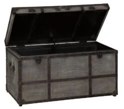 Amsel Gray Storage Trunk -Ashley A4000092 trunk 4