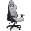 Lynxtyn Office Swivel Desk Chair W/ LED Lighting (White And Gray)