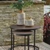 Ayla Outdoor Nesting End Tables (Set Of 2)