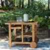 Kailani Serving Cart (Light Brown)