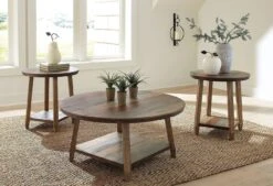 Raebecki 3-Piece Occasional Table Set