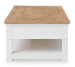 Ashbryn Cocktail Table -Ashley T844 1 table 9